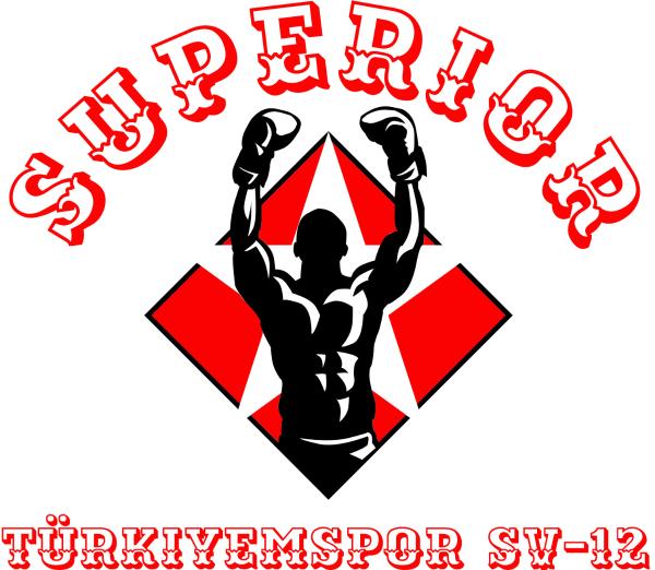 Türkiyemspor SV-12 Schweinfurt